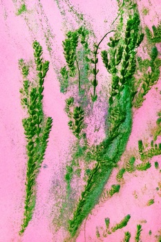 N 041C
